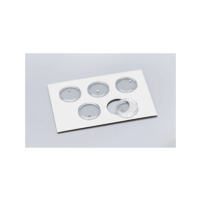 Skyce crystal petit 559321