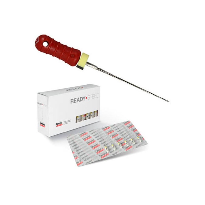K-File Readysteel 21mm 025 A012D02102504